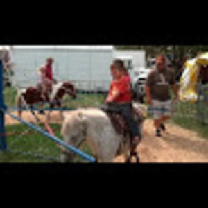 Meet your Posher, Wes